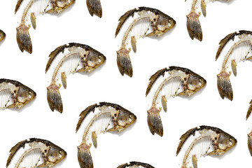 Geometric pattern from fish skeleton that was eaten, leftovers of food. Creative food background.