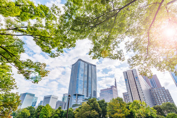 Fototapeta na wymiar 新緑の木と東京のビル群