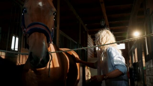 Attractive Slavic blonde cleans the horse's back.