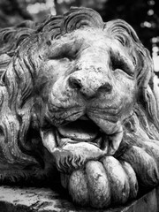 lion statue at night