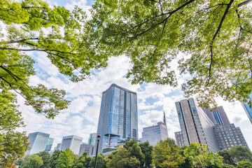 Obraz na płótnie Canvas 新緑の木と東京のビル群