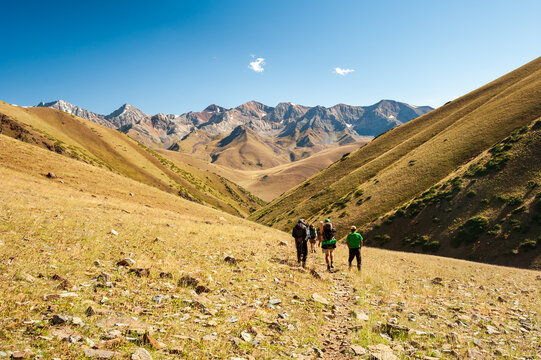 Group of young hikers trekking in mountains. Two women two men backpacking in summer near Sary Chelek lake, Sary-Chelek Jalal Abad region, Kyrgyzstan, Trekking in Central Asia.