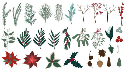 Fototapeta premium Vector collection of Christmas plants. Hand drawn set of winter festive flowers, branches, twig, berries, pines and other greenery isolated on white background. Stylish flat elements for your design.