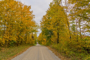 Fototapeta premium the small road of Ontario in autumn, Canada