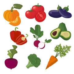 Set of vegetables pumpkin tomato eggplant pepper radish avocado beet beetroot broccoli carrot. Fresh vegetables, natural products. Vector illustration flat design. Isolated on white background