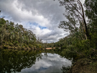 Fototapeta na wymiar Walk near River in Lane Poole Reserve Western Australia.
