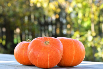 Three pumpkins lie on a wooden background. Autumn bright background. Halloween