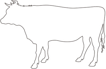 和牛　横向き　アウトライン