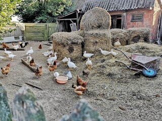 garbage on the beach