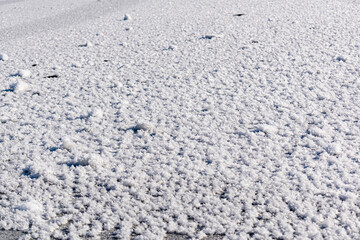 Snowy white background with frosty crystals and curly snowflakes close-up. Winter is a cold season with a blinding white bright color