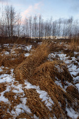Field in the late autumn