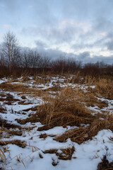 Field in the late autumn