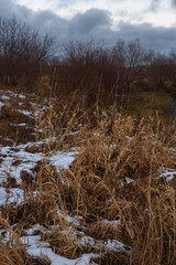 Field in the late autumn
