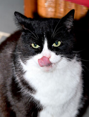 La faim appréciée !