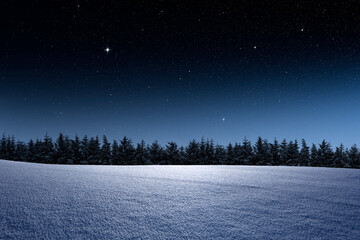 Winterliche Landschaft mit Tannenwald  und Sternenhimmel