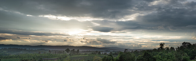 Farm meadow and tree with the sun setting over a mountain range in the background panorama
