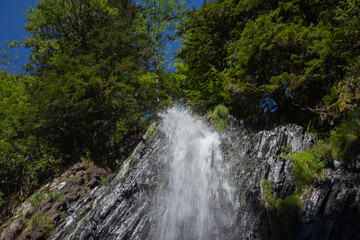 Naklejka premium Auvergne