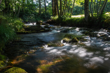 Auvergne