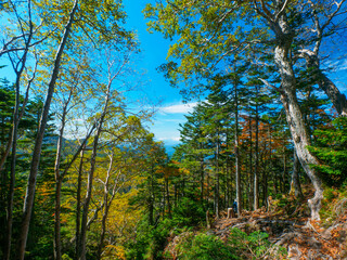 View from alpine where autumn leaves began (Tochigi, Japan)
