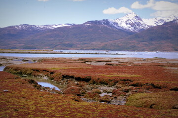 Fototapeta na wymiar Printemps en Patagonie, Chili, Baie Marinelli