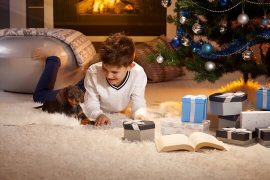 Happy little boy playing with puppy at christmas tree. 