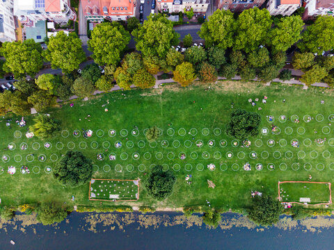 Socialising in a public park, separation with circles, Heidelberg Neckarwiese, social distancing, covid 19