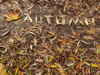 On the ground, the word 