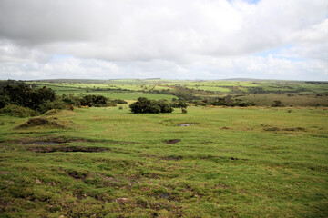 Fototapeta premium A view of the Cornwall Countryside near Dartmoor