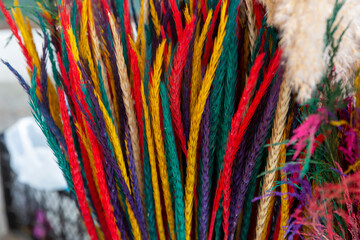 close up colorful flowers texture background