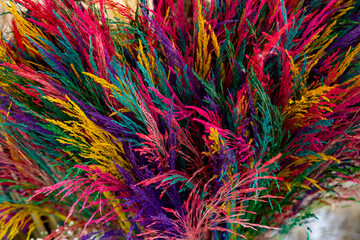 close up colorful flowers texture background