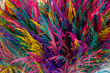 close up colorful flowers texture background