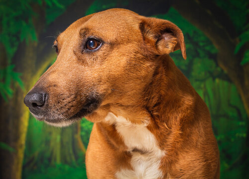 Ensaio fotografico da Akira