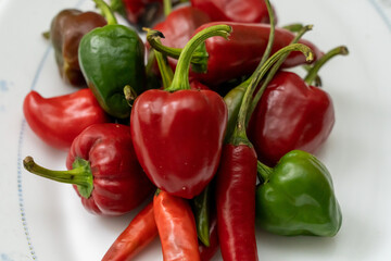 red and green pepper background white