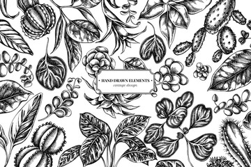 Fototapeta premium Floral design with black and white ficus, iresine, kalanchoe, calathea, guzmania, cactus