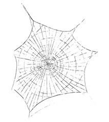 Obraz premium Realistic spider web sketch. Hand drawn vector contour illustration. Retro graphic drawing isolated on white. Single black doodle element for design prints, poster, decor, typography, card, sticker.