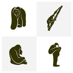 Set of Orangutan logo design vector template, Illustration design Orangutan Monkey, Symbol Icon © shuttersport