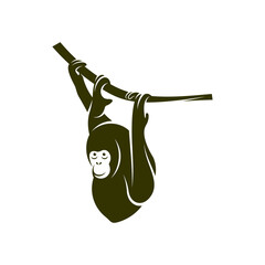 Orangutan logo design vector template, Illustration design Orangutan Monkey, Symbol Icon © shuttersport