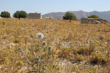 Fototapeta na wymiar Ruins of Antimachia, Kos Island, Greece