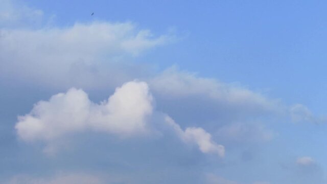 Pequenos p&aacute;ssaros e nuvens brancas no c&eacute;u azul