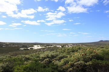 turquoise water and beach called lucky bay, Australia, Esperance, Down under