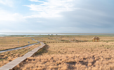 path to the lake 