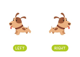LEFT and RIGHT antonyms word card vector template. Flashcard for english language learning. Opposites concept. The puppy runs right and left