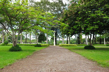 path in the park