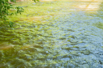 Background with a fast flowing mountain river surrounded by trees. Concept - mountain hiking and travel in summer, as well as taking care of health