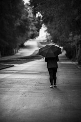 person with umbrella walking in rain