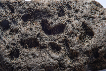 Blurred with a strong magnification, the background with a fine texture of stone with small holes and channels. Small details of the texture are not visible to the naked eye.