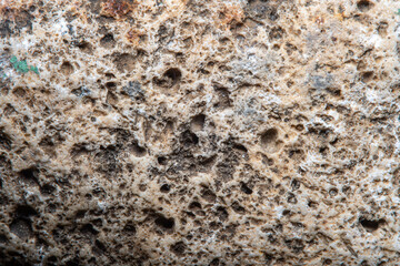Background with the surface of a piece of light stone with small holes in soft focus under high magnification