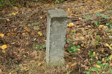 one old gray concrete pillar limiter stands in dry vegetation and fallen leaves in an autumn park