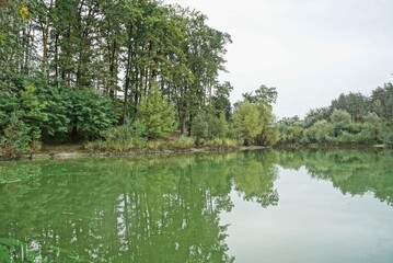landscape of a green forest of coniferous and deciduous trees on the shore near the water of a large lake against the sky