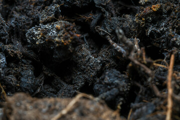 The surface of the soil rich in minerals for planting. Background in soft focus at high magnification, showing small clumps of soil and plant nutrient.